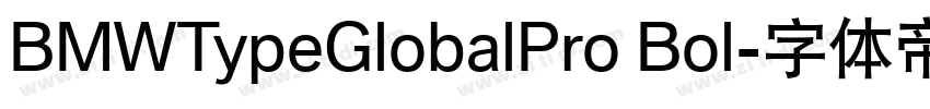 BMWTypeGlobalPro Bol字体转换